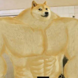 Meet your Posher, Pooja